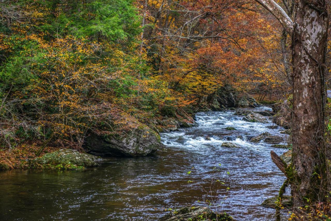 Chief Big Log Villa Hatchertown Buitenkant foto