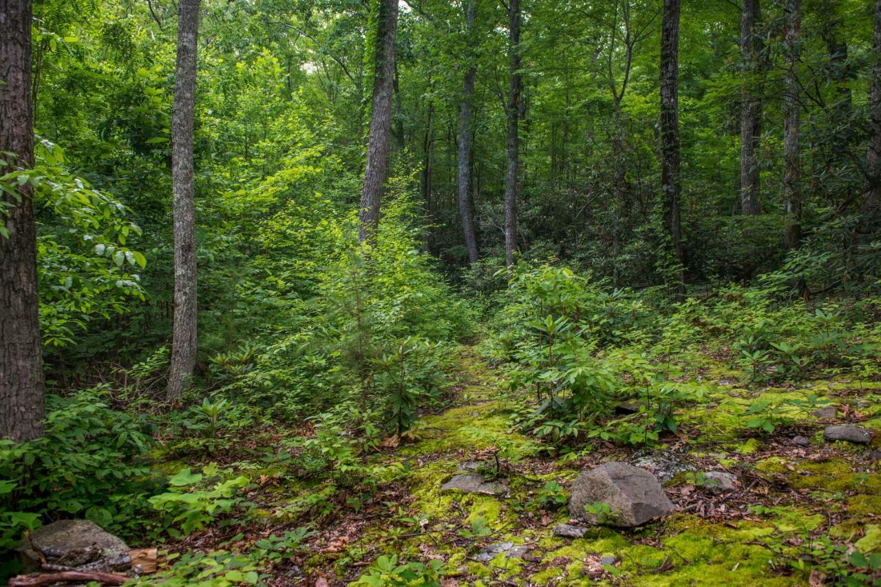 Chief Big Log Villa Hatchertown Buitenkant foto